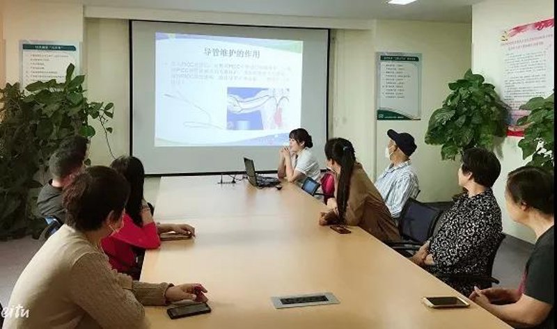 AI全自动养站程序的技术逻辑:站群运营的范式转移与效率重构